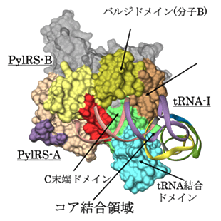 図３