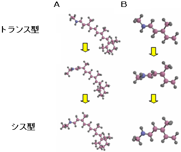 図2