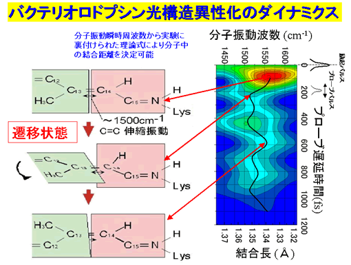 図5