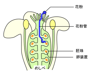 図1