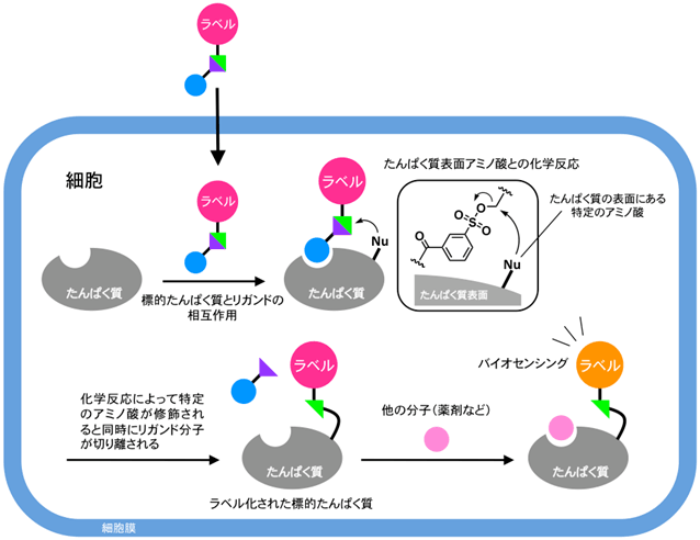 図3