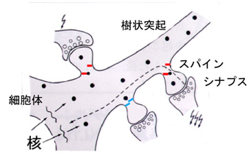 図3