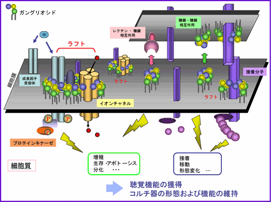 図7