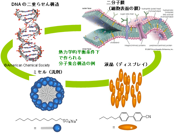 ナノレベルの散逸(さんいつ)構造（散逸(さんいつ)ナノ構造）の発見とそれを利用する金ナノ材料合成手法の開発