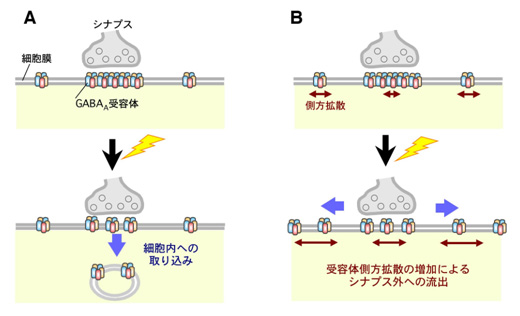 図7