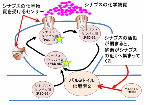 図2