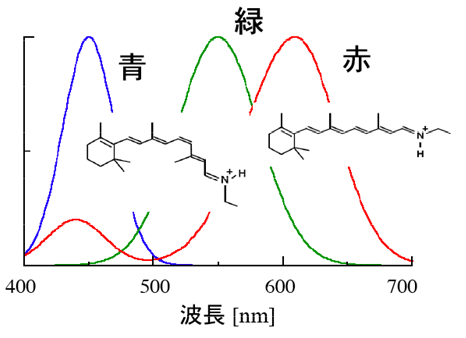 図1