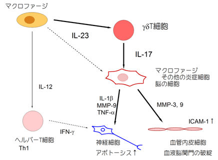 図6