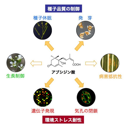 図1