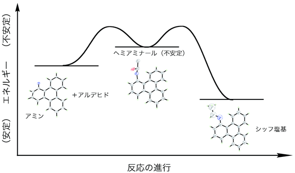 図２