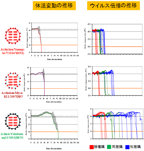 図２