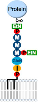 図1