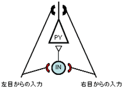 図５