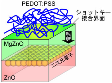 図１