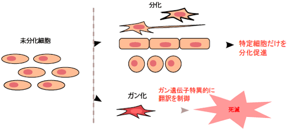 図６