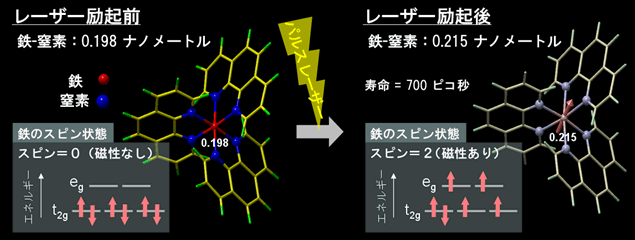 光が一瞬の磁石を作り出す（100億分の1秒のX線パルスによる