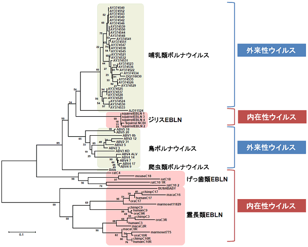 図２