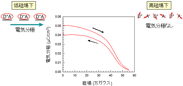 図４