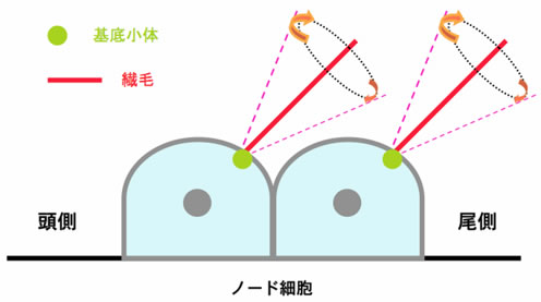 図2