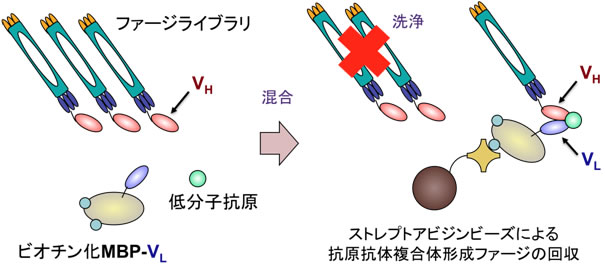 図１