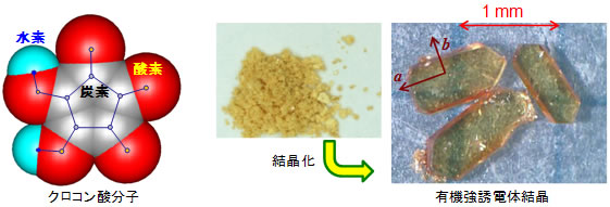 図１