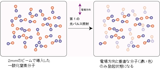 図１