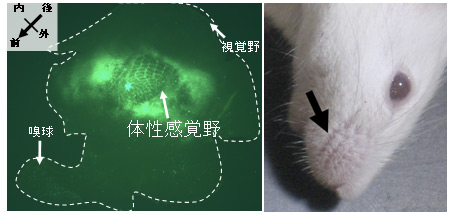 図3