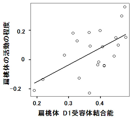 図３