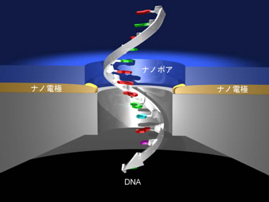 図2