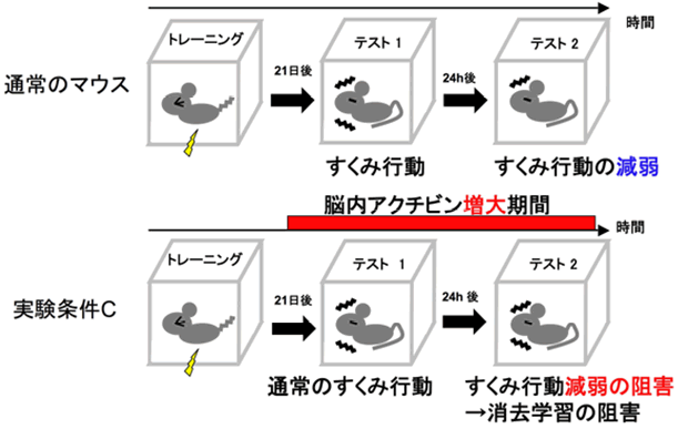 図２