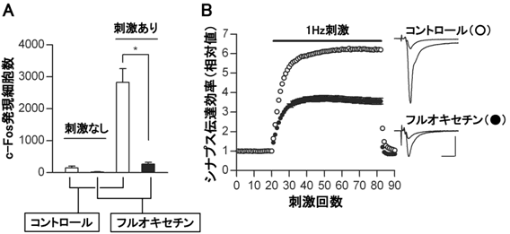 図5