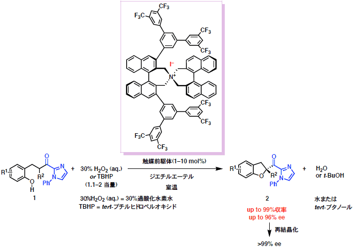 パルミトイル化反応