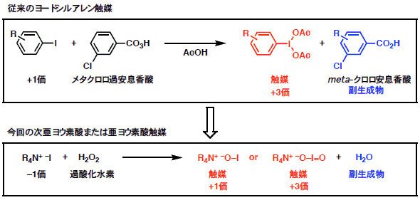 キラルアンモニウムヨウ素酸塩を不斉触媒に用いる酸化的エーテル環化反応の開発：