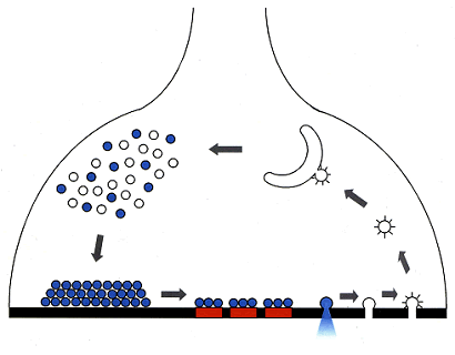 図２