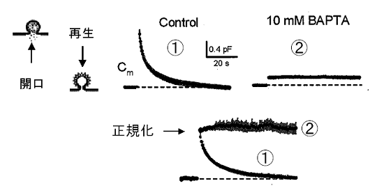 図４