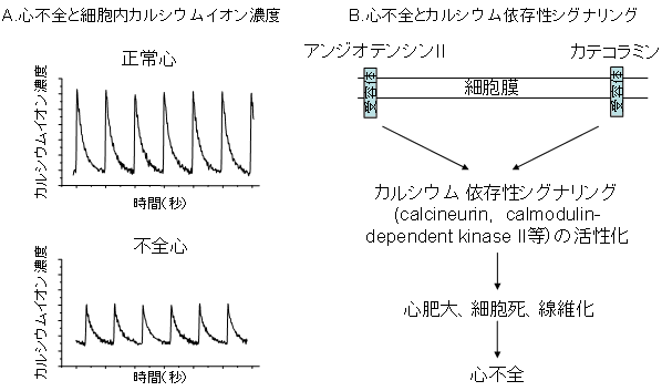 図１