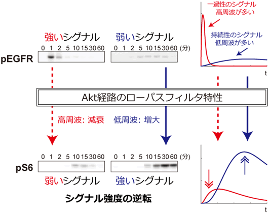 図３