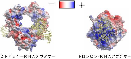 図２