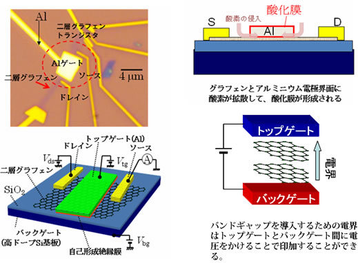 グラフェンエレクトロニクスのためのバンドギャップ要因を解明