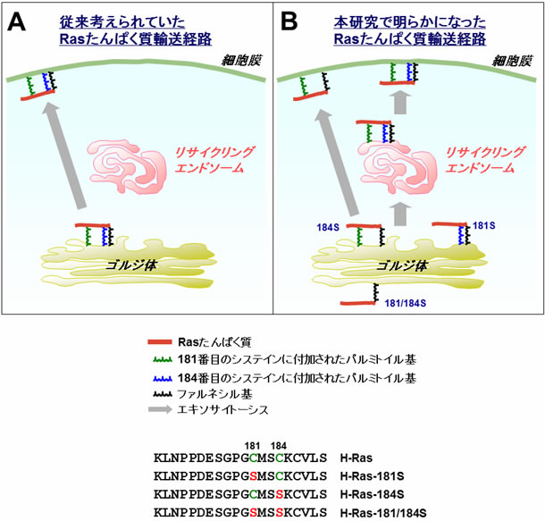 図６