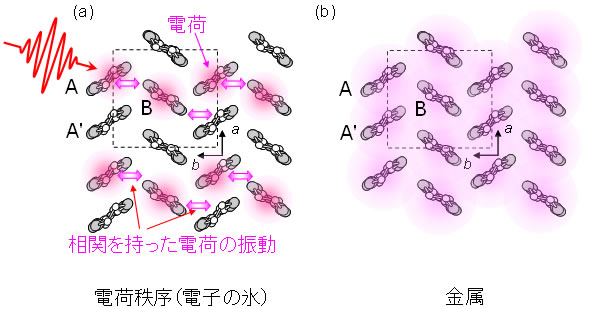 図１