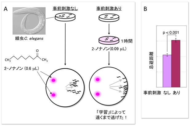 図１