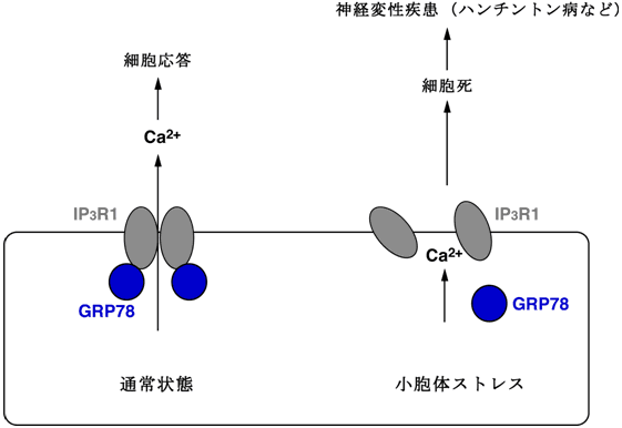 図６