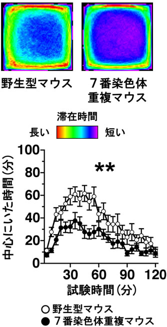 図２