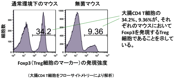 図１