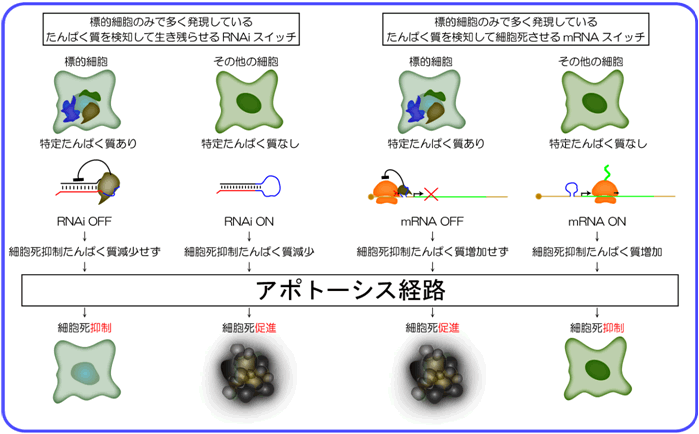 図３