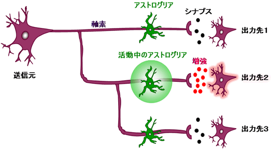 図