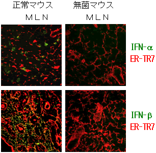 図４