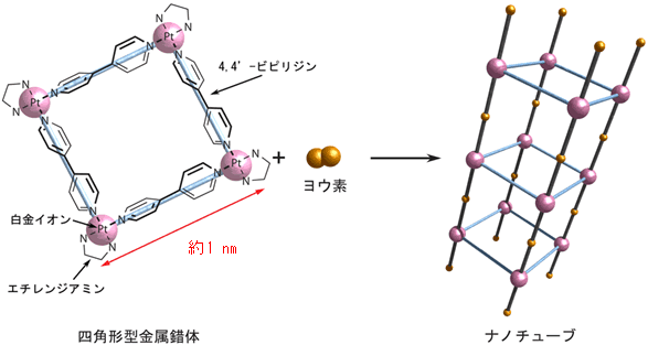 図１