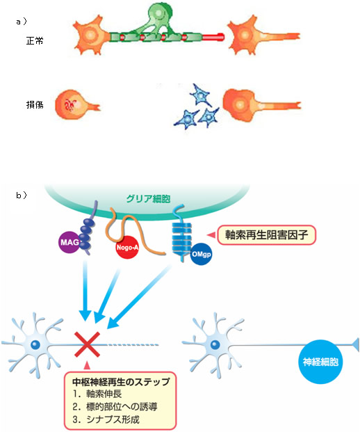 図１